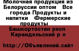 Молочная продукция из Белоруссии оптом - Все города Продукты и напитки » Фермерские продукты   . Башкортостан респ.,Караидельский р-н